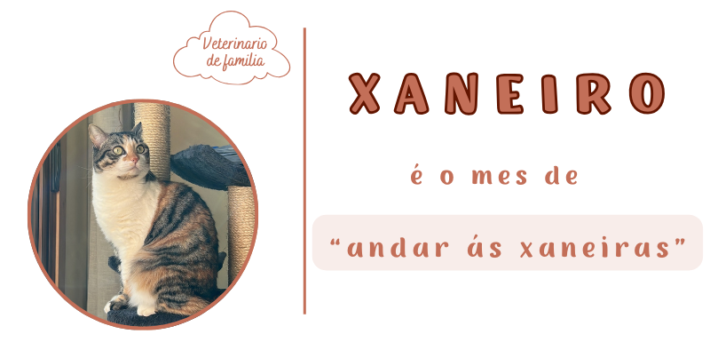 Xaneiro é o mes das xaneiras