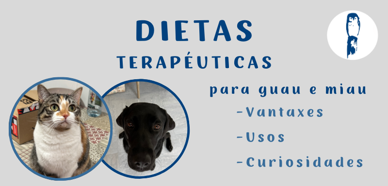 Portada blog sobre dietas terapéuticas para cans e gatos